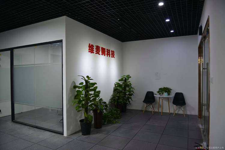 科技赋能乡村振兴 伊海村科技服务公司的创新发展路径